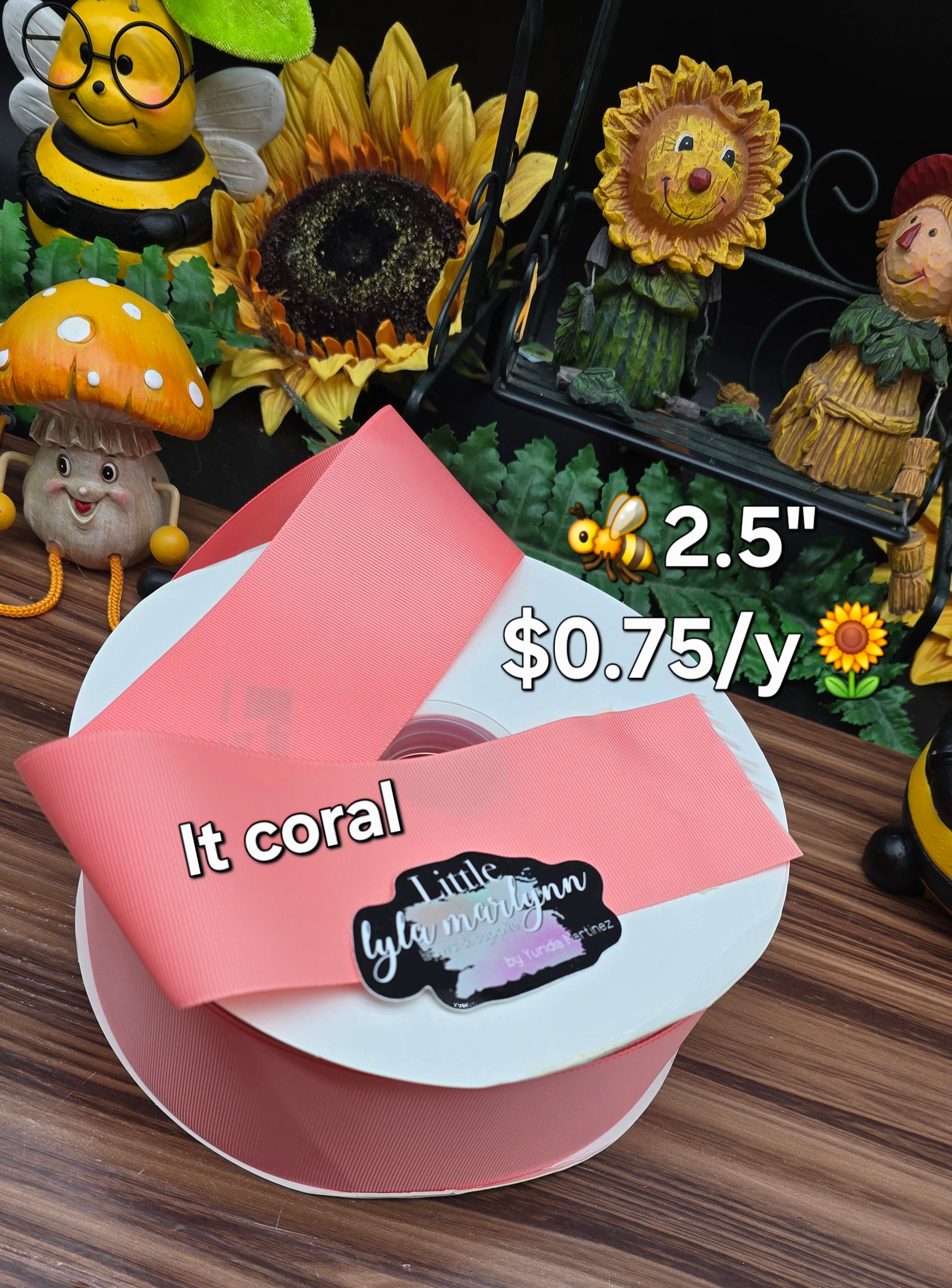 SOLID 2.5' IT CORAL / TORRID ORANGE