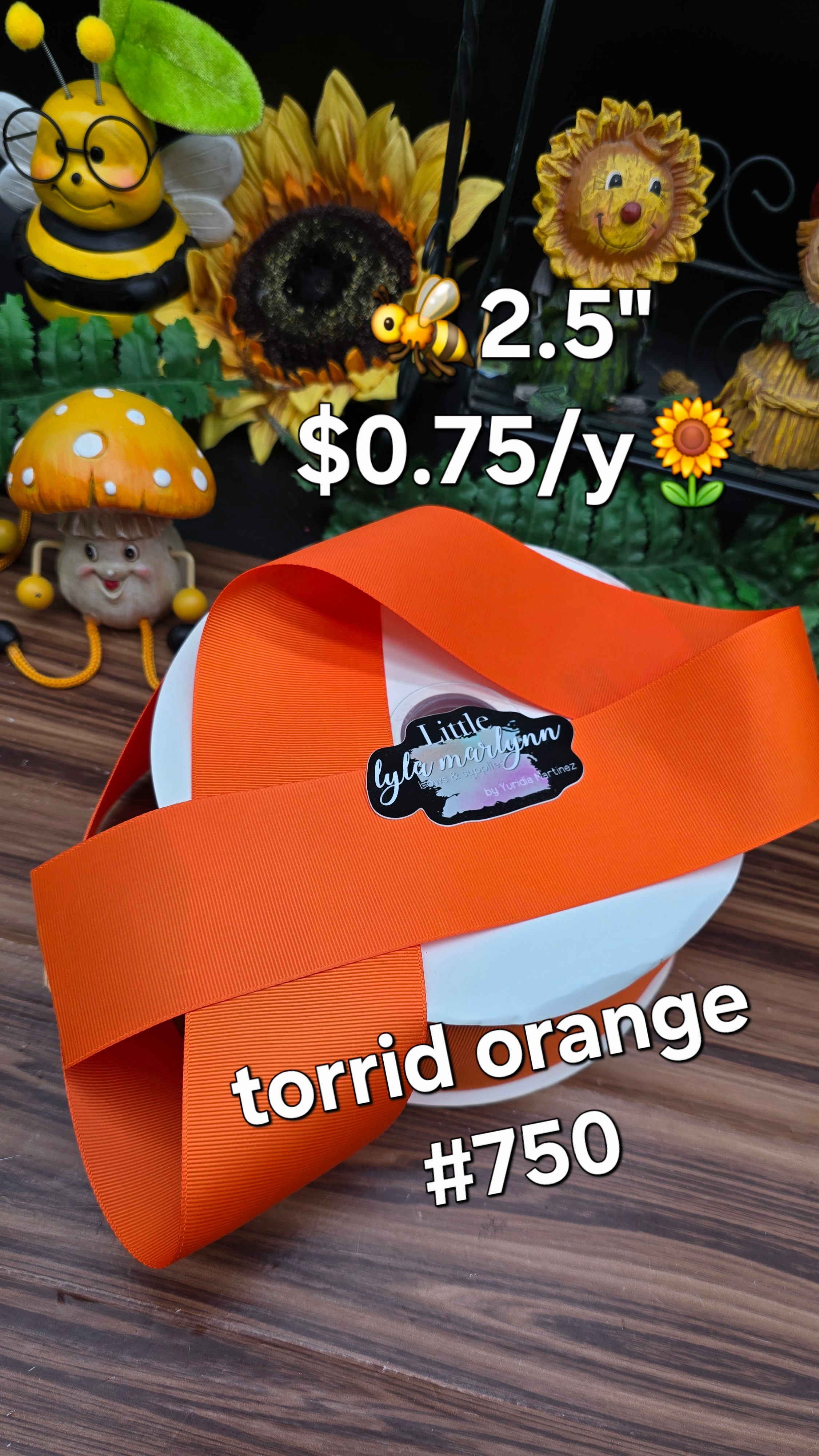 SOLID 2.5' IT CORAL / TORRID ORANGE